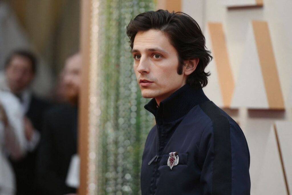 Chalamet was rejected initially from LaGuardia High School of Music & Art and Performing Arts  but drama teacher Harry Shifman — who also taught Ansel Elgort — described his audition as “riveting” and persuaded the principal to let him in. Source: Robyn Beck/