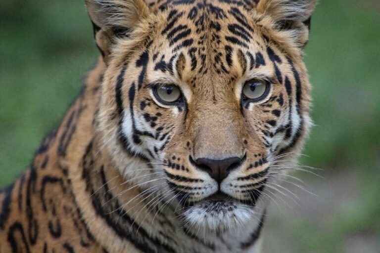 3 really important matters to know about studying environmental science