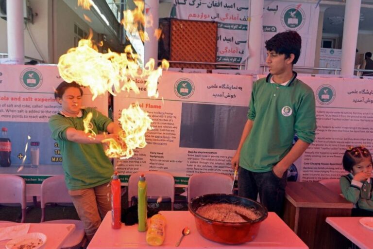 Best science fair projects that'll win you the first prize, according to grade level