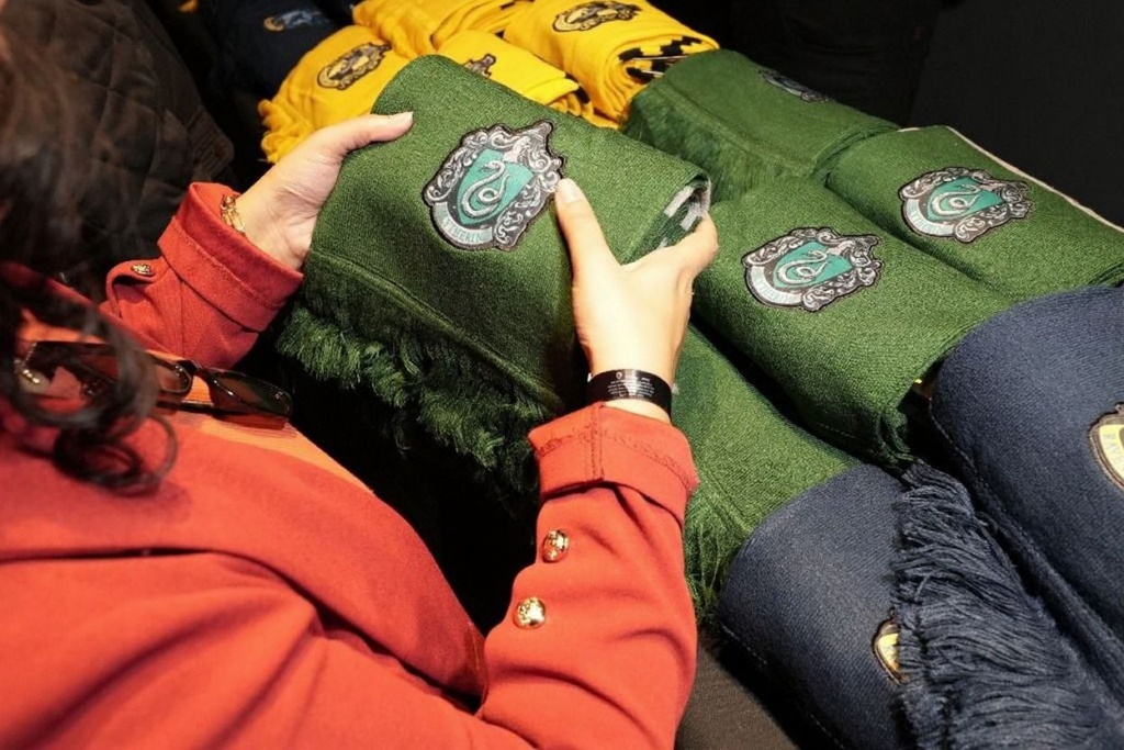 Slytherins tended to be ambitious, shrewd, cunning, strong leaders, and achievement-oriented., shot on Nikon D850, 35mm f/1.8 lens, RAW photograph, unedited, candid moment, natural lighting, photojournalistic style | NEGATIVE: AI generated, artificial, computer generated, digital art, 3d render