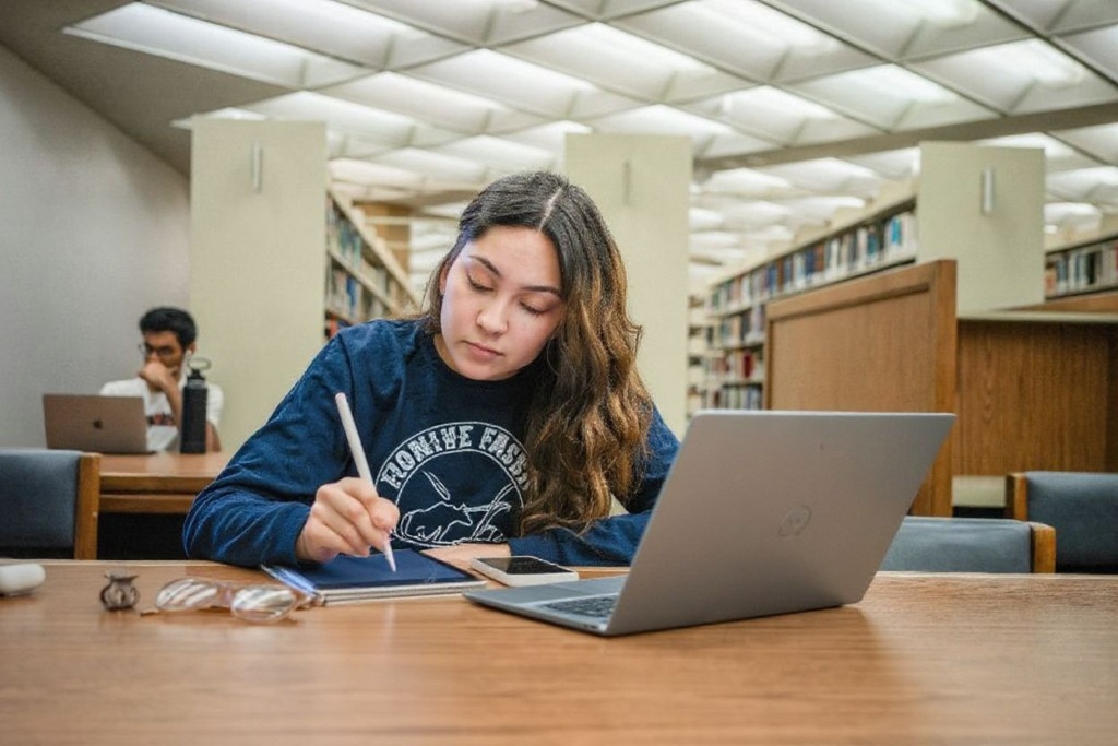 Foundation courses are available in various disciplines, including business, finance, management, computing, law, art, design, engineering, social sciences, medical sciences, science, pharmacy, media, and humanities. Source: