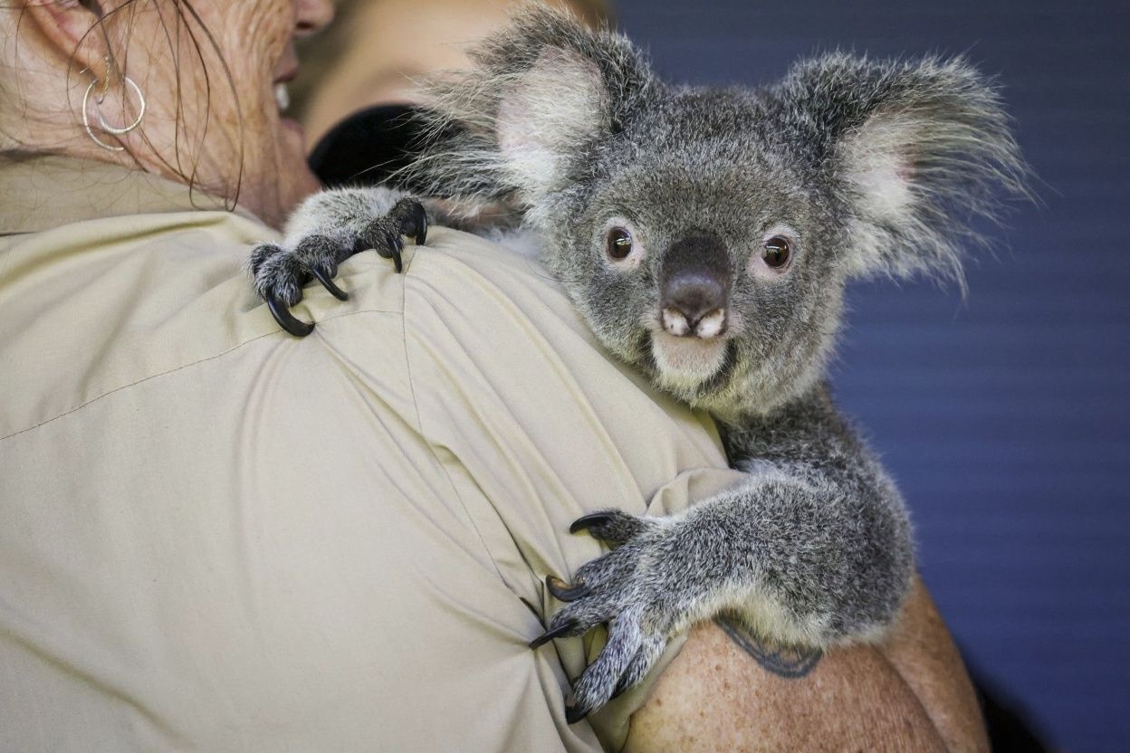 Everyone can use some support, and with these master’s scholarships in Australia, you won’t have to stress out about your finances while pursuing your studies. Source: