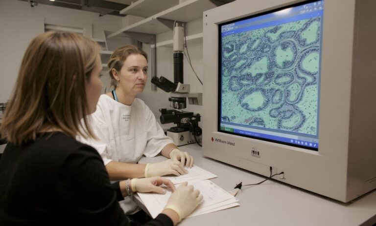 Industry cadetships: A good, small step to tap the talents of women in STEM