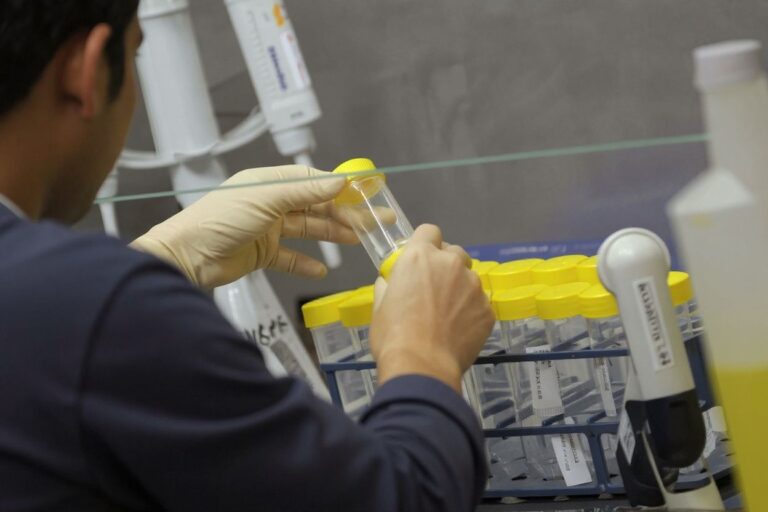 Clinch a STEM scholarship to attend RMIT University in 2021