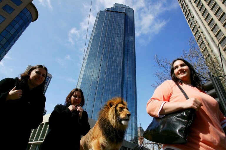 12 countries with post-study work visas for int’l students