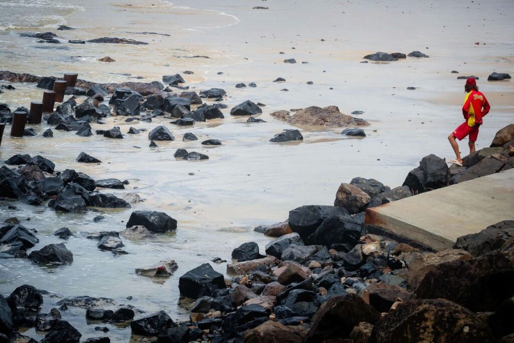 Source: Patrick HAMILTON /