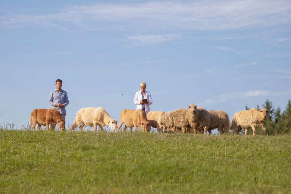 Vets don’t just work with your common household pets — you’ll have to learn about the different species and how to care for each of them too. Source: