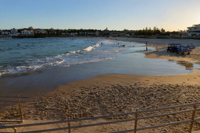 International students serve as skilled workers for Australia’s tourism industry: expert