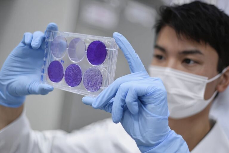 Job-ready graduates changes loom as last straw for emerging researchers