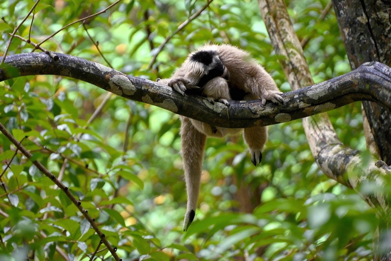 He’s capitalising on the low hanging fruit. Literally. Source: