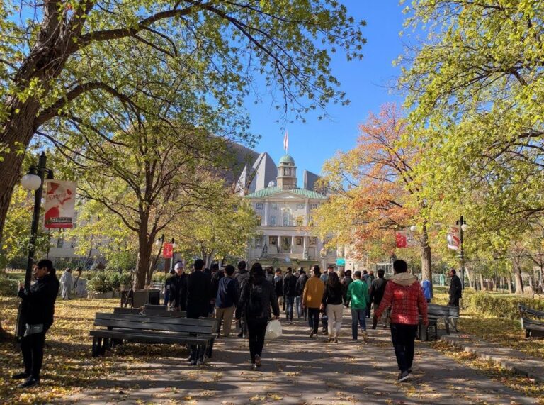 Here's why universities could grow even stronger after COVID-19