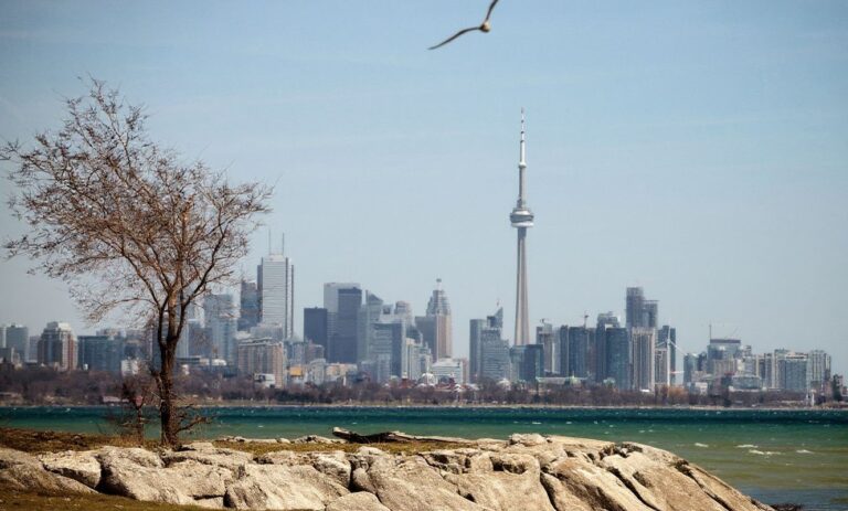 Give poor int'l students Canadian open work permits and sponsorships, IRCC urged