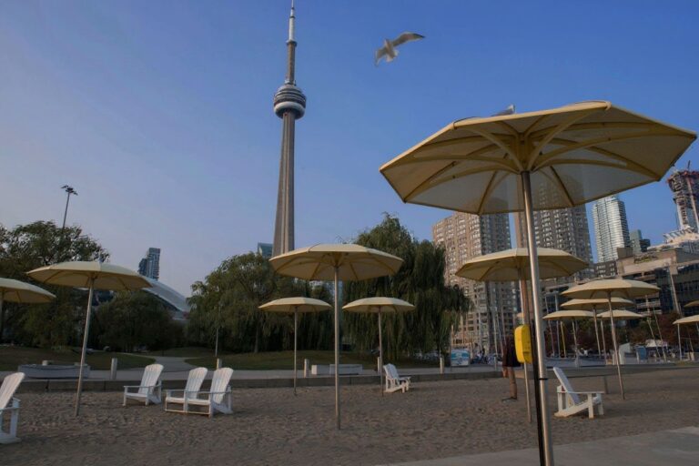 Why you should study engineering in Canada