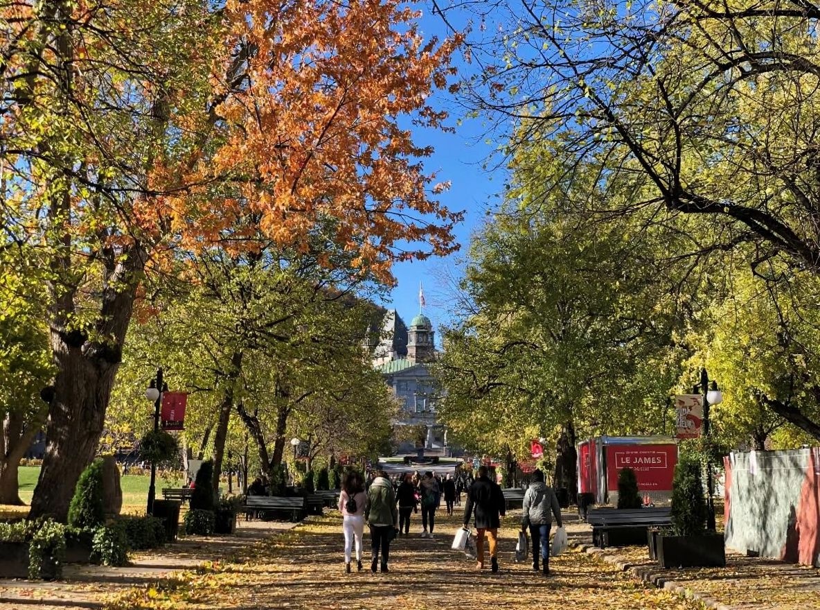 When applying for a study permit in Canada, you’ll want to ensure that you show proof that you have enough money to support yourself while studying. Source: Daniel Slim/