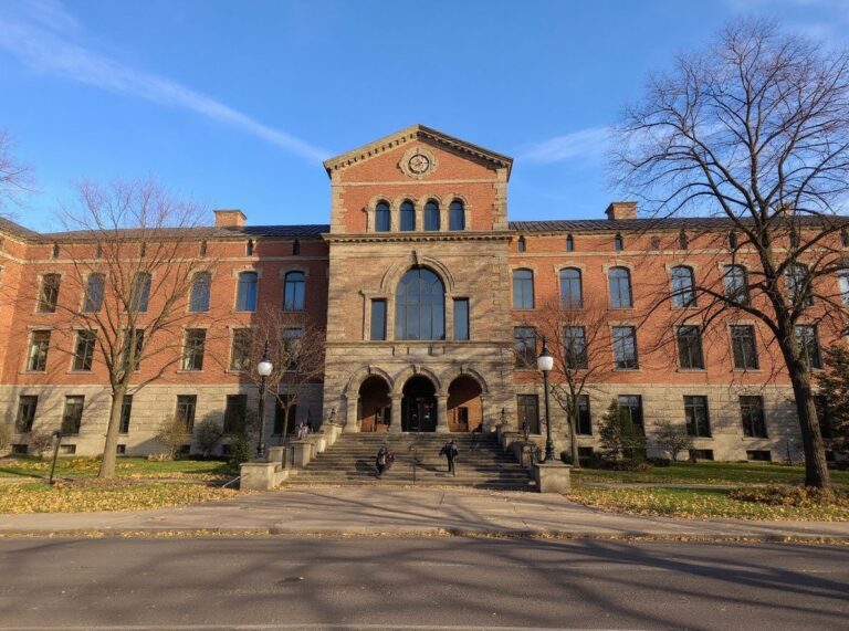 How universities can support international students beyond orientation week