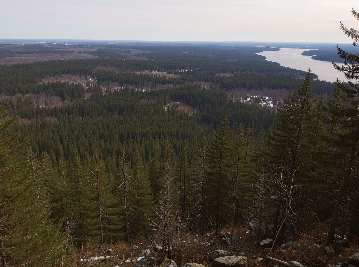 Atlantic Canada is known for its lush forests and beautiful landscape / Source: Timothy A. CLARY /