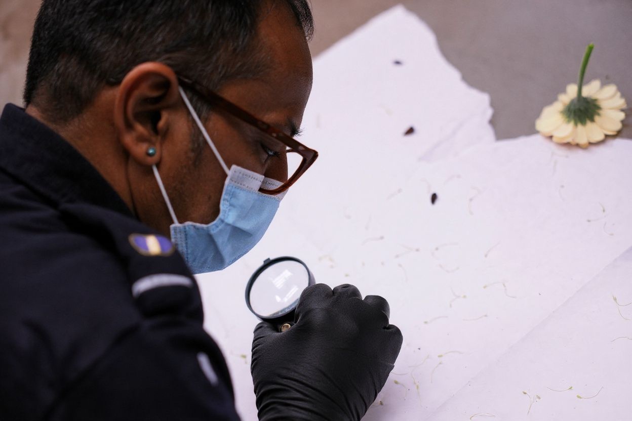 As a human rights investigator, you should have knowledge on human rights issues, research and analytical skills, and ability to identify sources. Source: