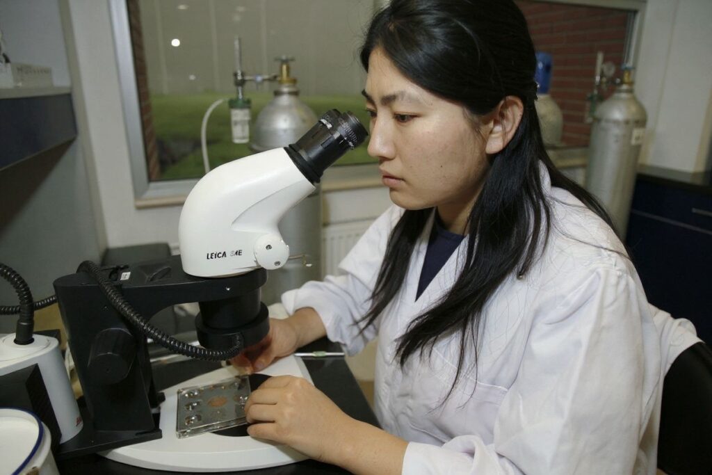 The current pandemic has only served to emphasise the significance of technology. Peter Parks/