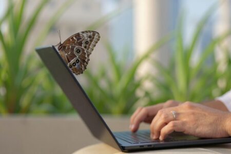 5 tips to successfully tackle your first academic essay