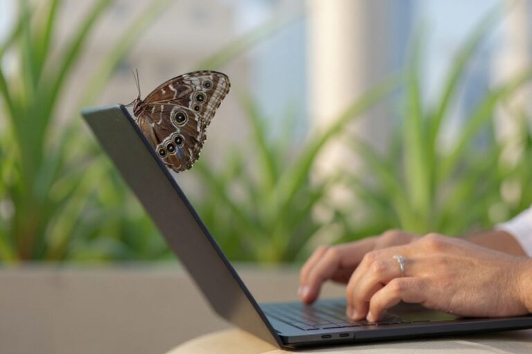 5 tips to successfully tackle your first academic essay