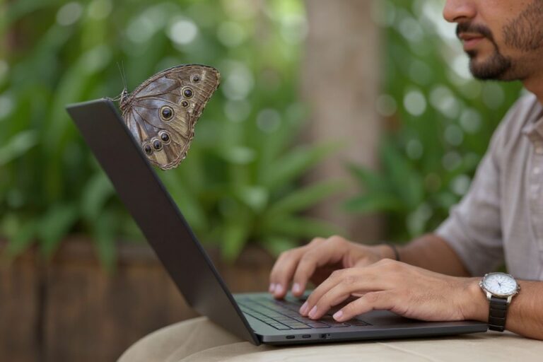 5 things you should know about University of the People