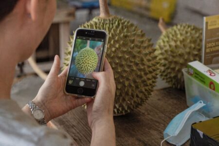 Are durians brain food? Here's what you should know