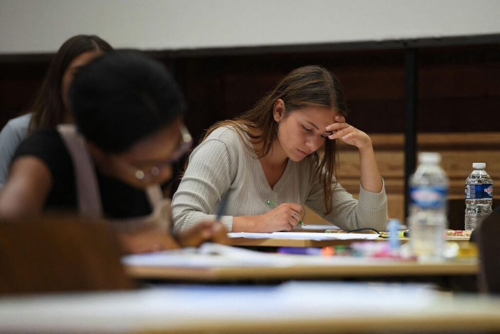 In higher education, with most undergraduate students transitioning between teenage years to adulthood, university provides a rite of passage and journey from dependence to independence. Source: Frederic Florin/