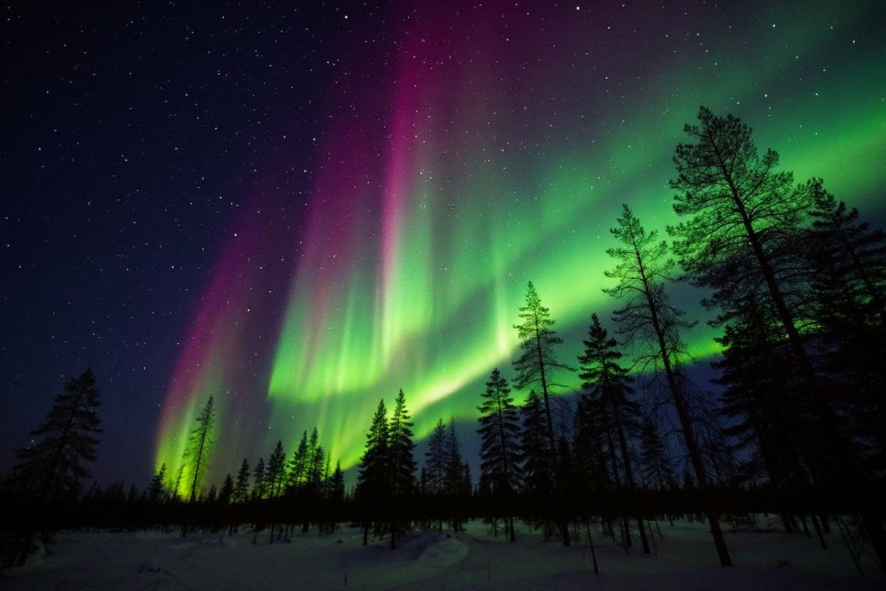 Finland is home to the Aurora Borealis (Northern Lights) during dark, clear nights, especially in the Lapland region from September to April.