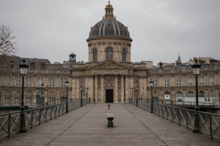 5 basic tips to keep your academic scholarship