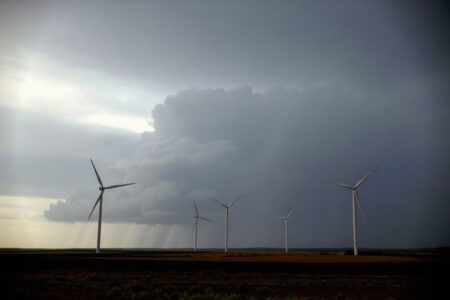 Sustainability in business: The low-down for students