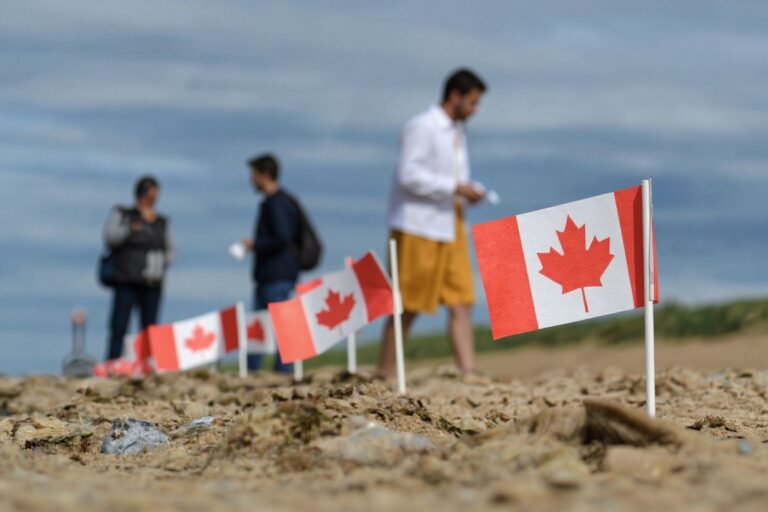 How international students can increase their score for Ontario citizenship nomination