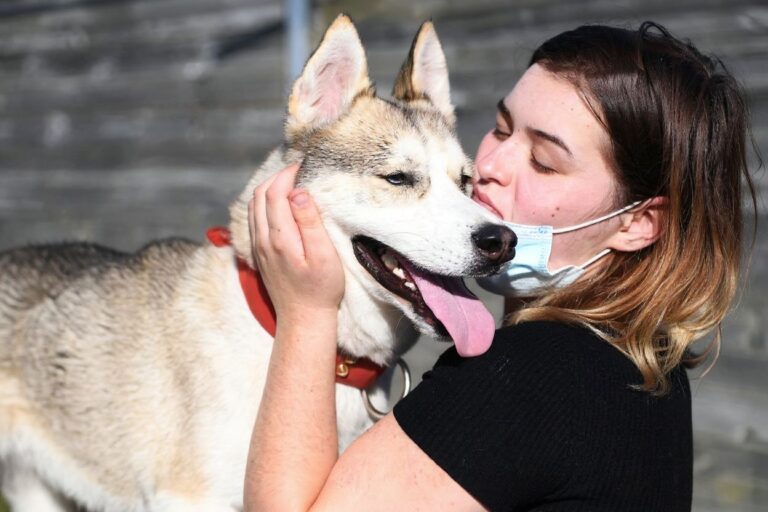 Online sessions with therapy dogs can help students feel less stressed