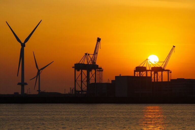 Go green: The best countries to get your sustainable energy degree