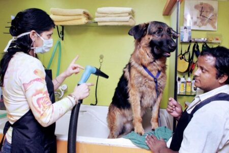 US$201,000 per year: The least stressful jobs in the world pay handsomely