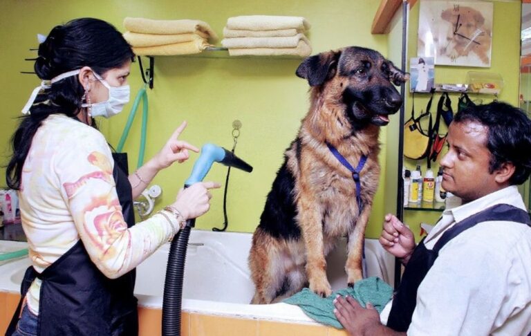 US$201,000 per year: The least stressful jobs in the world pay handsomely