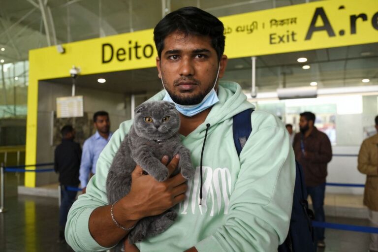 Int'l students refuse to leave Ukraine without their furry companions