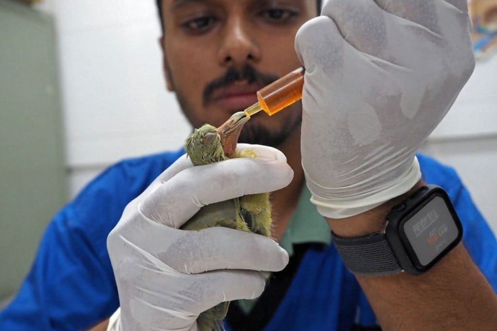 Source: Sam Panthaky/