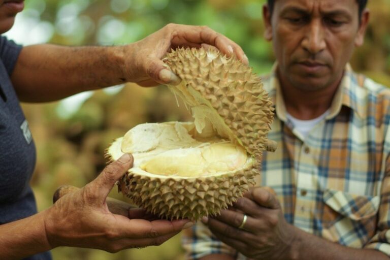 What to expect from Australian immigration in 2021