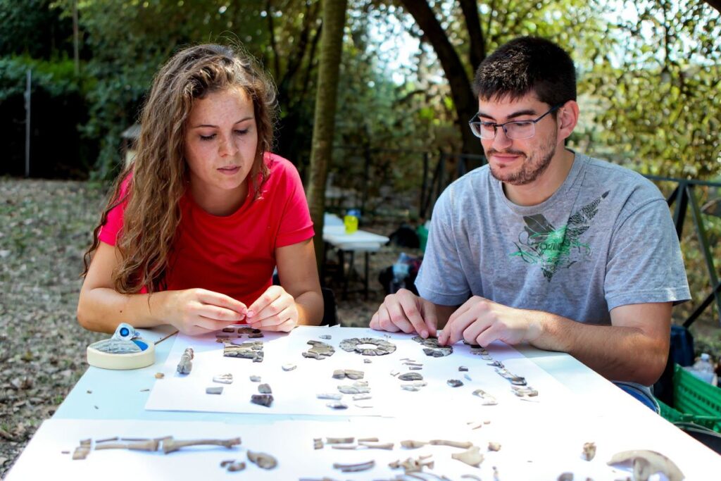 International graduates who have obtained an archaeology-related qualification are in luck as there is a growing demand to fill in archaeology-related jobs. Source: Roberta Basile / .