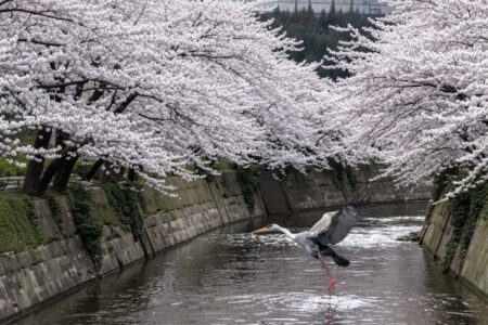 10 prettiest countries in the world with the most Insta-worthy views