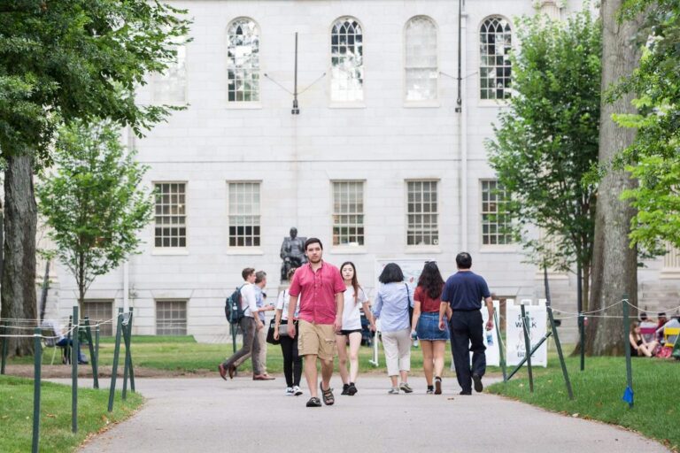 International students in US universities can get paid for online jobs