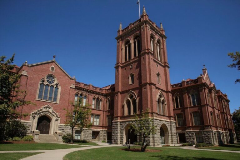 What are Public Ivies and should you attend one?