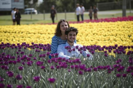 16 best countries in the world that are perfect to study and start a new life at