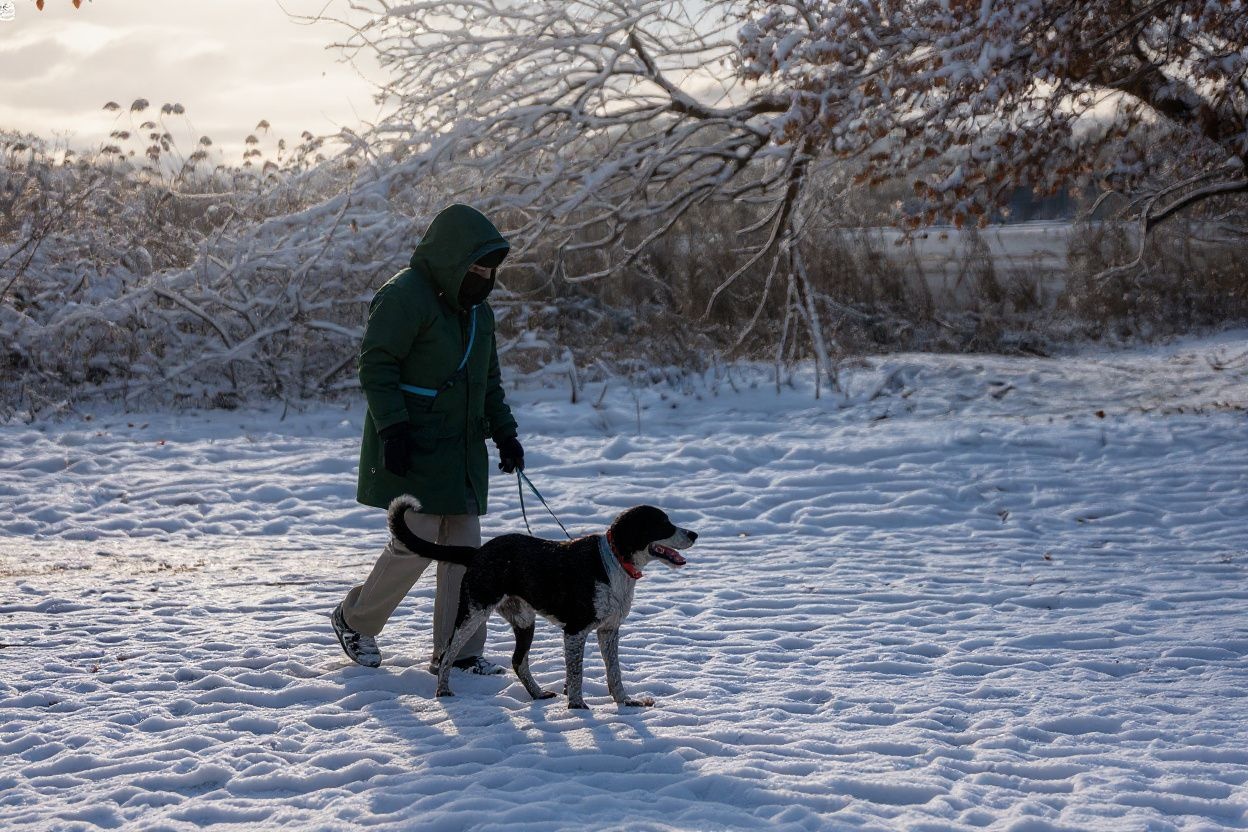 One great way to earn some extra money – walking a furry friend. Source: