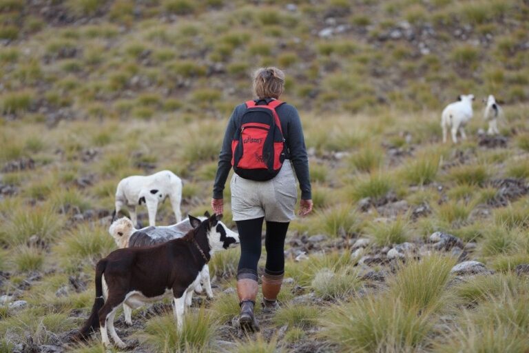 Work holiday visas: 11 best countries better than Australia and New Zealand