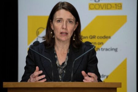 New Zealand plans to reopen to arrivals from 'low-risk countries' early next year