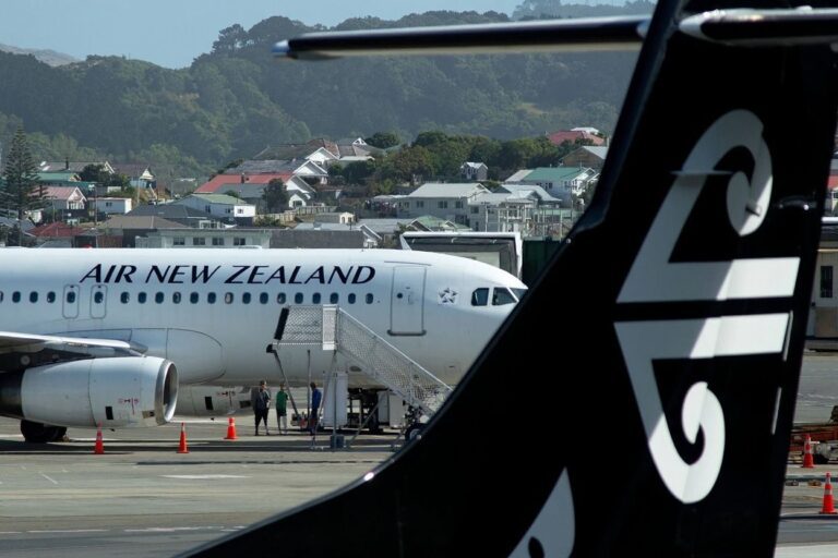 New Zealand government urged to 'trial' return of international students