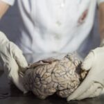 Exam season jitters? Here are fool-proof ways to remember better