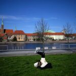 The cheapest universities in Poland for international students cost under US$20,000