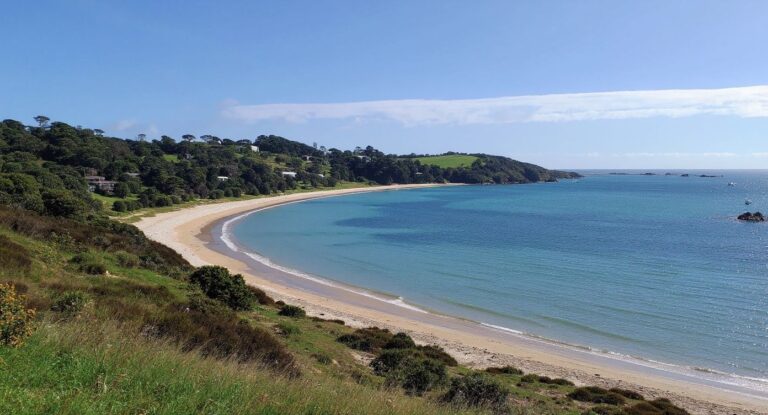 Top options for student accommodation in New Zealand